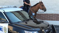 Riding tall in the saddle while wearing a badge