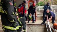 Watch: DCFEMS rescues woman who fell 10 feet down air well