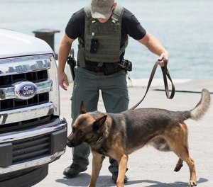 Individual handlers should continue to document whatever training they can undertake on their own.