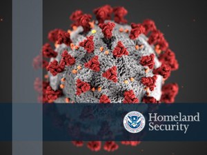 Image: homelandsecurity.ideascale.com