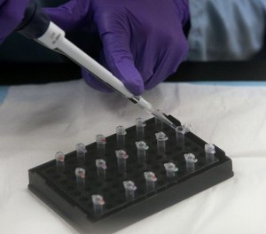 In this Feb. 17, 2012, file photo, senior criminalist Michelle Halsing works on mitochondrial DNA testing at the State of California Department of Justice Jan Bashinski DNA Laboratory in Richmond, Calif. (AP Photo/Jeff Chiu, File)
