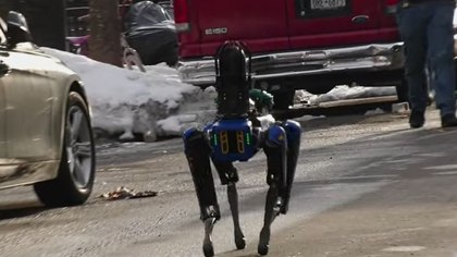 State your case: Should the NYPD have returned its robot dog?