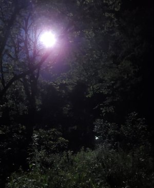 The helicopter's spotlight shines down on Durham and his daughter's location.
