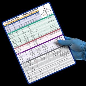 EKGs On One Page is the most comprehensive reference guide available, with a curated collection of 33 EKG rhythms and their associated treatments.
