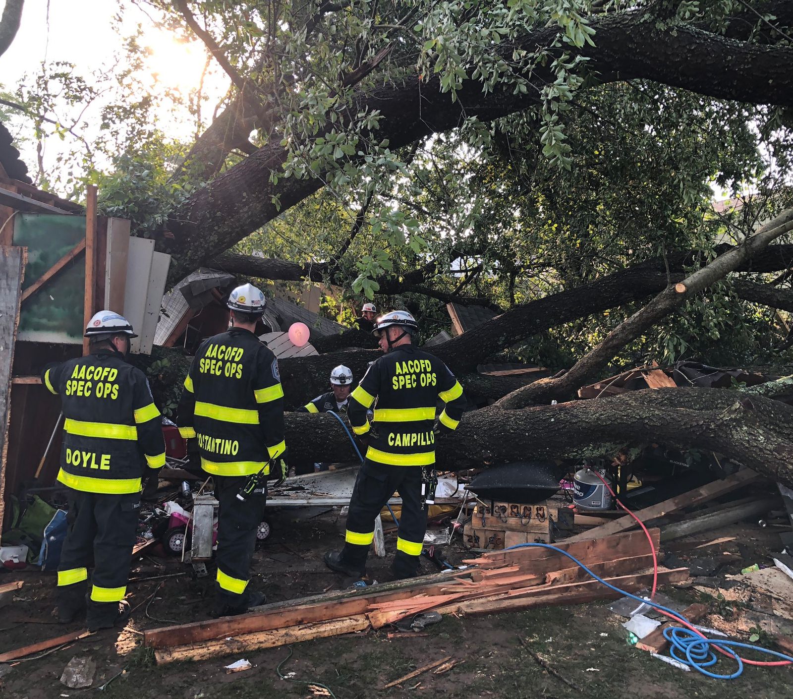 19 injured when tree falls on garage
