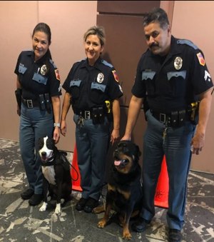 CRC K-9s responded to the Walmart mass shooting in El Paso, Texas.