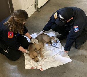 Sedgwick County Paramedics Levi Davidson and Jennifer Erskin were recognized for rescuing a dog, named Sugar, who was struck by a vehicle last week.