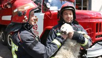 Photo of the Week: Meet Bayraktar, Ukraine's new fire dog