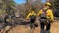 7 firefighters hurt battling NorCal's Rices Fire