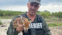 6 times rural cops rescued animals from danger