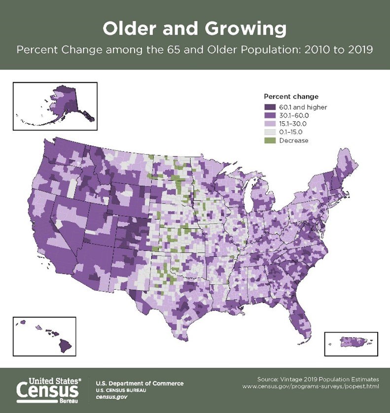 Figure 1: Growth of the elderly population from 2010 to 2019.