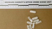 What the Flakka? 4 things cops need to know about the drug