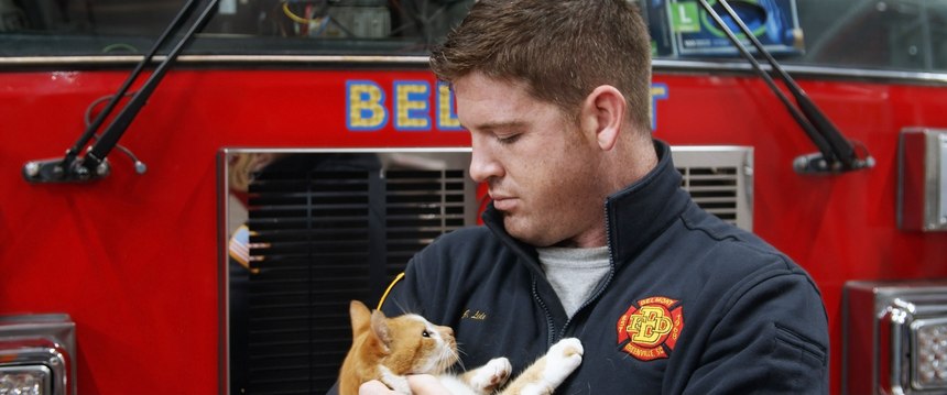 Flame the Arson Cat, Engineer Jordan Lide and other firefighters with the Belmont Fire Station in Greenville, S.C. are featured in the documentary "Cat Daddies."