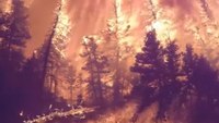 Should stricter standards be in place for wildfire disaster funds?
