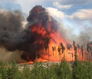 At the peak of the Golf Course Fire, more than 25 different agencies were assisting with the incident, from other fire and emergency services agencies, to the Red Cross and local businesses. (Photo/Grand Lake Fire Protection District)