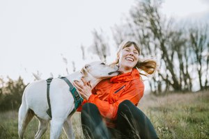 Petting a dog or cat for several minutes can reduce your stress level. If you walk a dog at a pace that makes you breathe deeply, the physical activity may also reduce your stress level.
