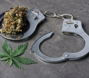 Results from P1/LSU survey focus on issues surrounding recruitment, driving impairment issues, attitudes and drug use by active officers.