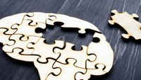 Peer Support: The missing piece of the mental health puzzle