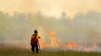 Community wildfire defense grant program accepting applications