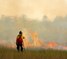 Community wildfire defense grant program accepting applications