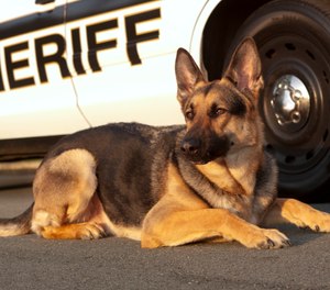 Gov. Ron DeSantis signed a bill Friday aimed at protecting K-9 dogs that work alongside law enforcement.