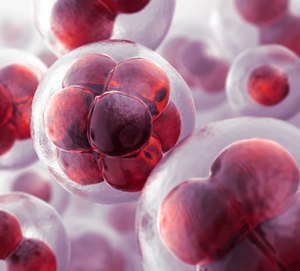 Understanding cellular action potentials help EMS providers understand what is causing their patients to present with specific clinical findings.