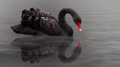 ‘Black swans’: Fire service leaders should work to speed the extinction of such events