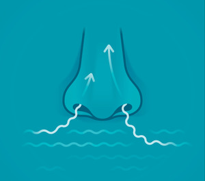 Losing your sense of smell does not automatically mean that you have COVID-19.