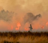 Fire rehab in the wildland: What every firefighter should know