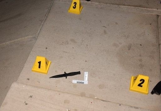 Why Constable Drew Harrison is glad he was sprayed with OC