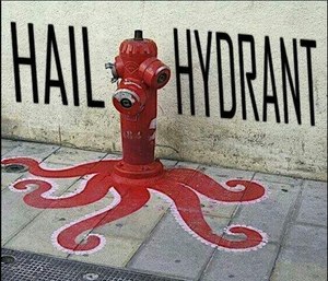 (Photo/Imgur)