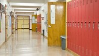 Is there a valid psychosocial explanation for school shootings?