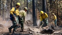 'All of the ingredients were in place': Wash. Gray Fire quickly overwhelmed firefighters