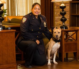 Animal Farm Foundation aims to prove that ideas about how a shelter dog behaves – particularly pit bulls – aren’t correct. (Photo/Animal Farm Foundation)