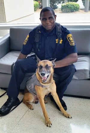 Upon retirement, Deputy Viper will become protector for the family of Deputy Sheriff Michael McRae, his partner and handler.