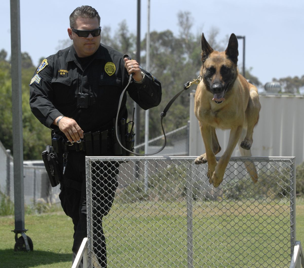What Are Police Dogs Trained For