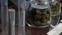 Up in smoke: 9 states have legal marijuana initiatives on the November ballot