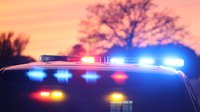 N.Y. police officer falls 10 feet, breaks 4 vertebrae during a call
