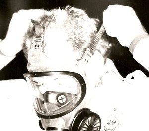 One good cop dons a mask and prepares to face the rioters in his city. (Photo/Dan Marcou)