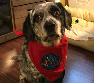 Marley, a mixed breed rescue, recently completed an eight-week training course through Therapy Dogs International to become a canine therapy dog for the members of CHS Mobile Integrated Health Care.