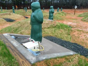 Site image