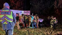 Ky. EMS provider, 2 others injured in 3-vehicle crash involving cow