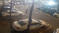 Video shows vandal smashing NYPD cars outside stationhouse