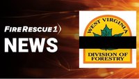W.Va. forester fatally struck by falling tree while fighting fire