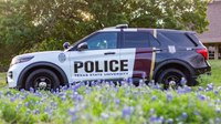 Photo of the Week: A thin bluebonnet line