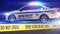 Deputy shoots attacking pit bull, bullet hits another deputy
