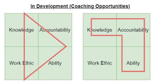 These blocks can be rearranged to fit any coaching or development of an officer's needs. This model helps individuals visually understand what needs to be developed.