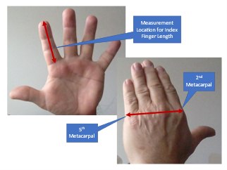 Figure 2. Source: NFPA 1971, 6.7.5. Original graphic by Robert Avsec.