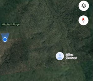 We track our kids' phones, but her last known location was about an hour old. The information dispatch gave me seemed to match the ping I had from my daughter's cell.