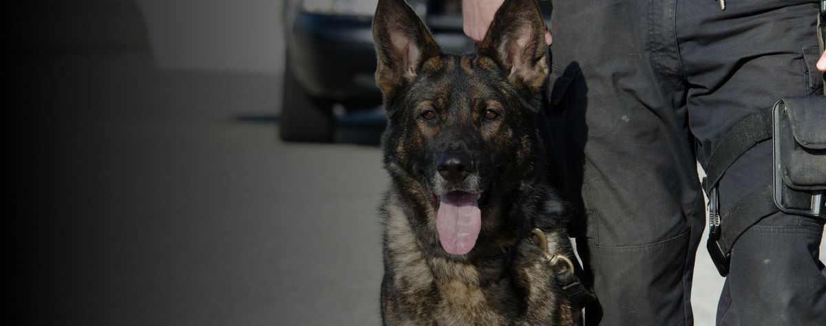 K-9 deployment and bite duration were proper